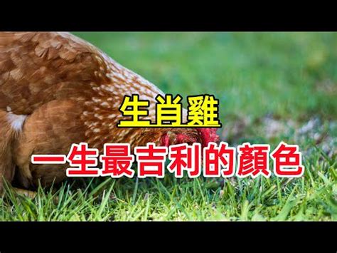 鼠的幸運色|2024年屬鼠開運指南：幸運色為紅紫 